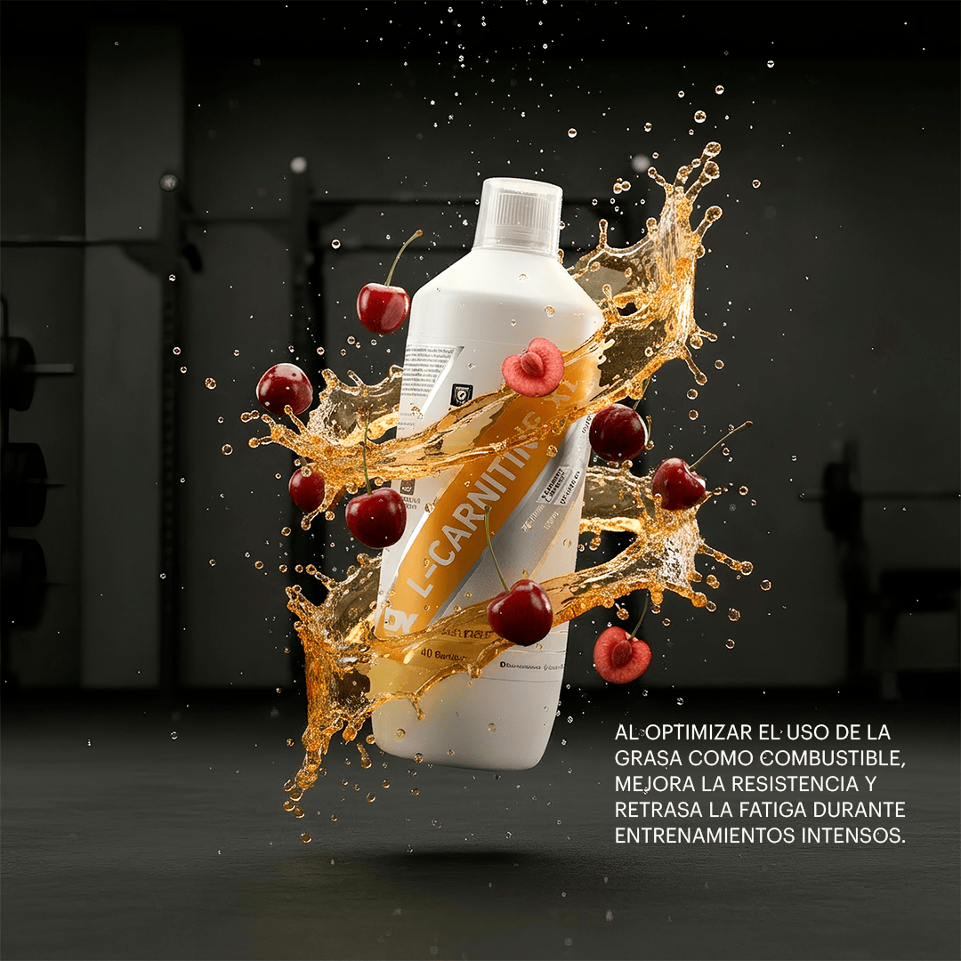 L-Carnitine XL para Potenciar Tu Rendimiento Fsico TMX - PE L-Carnitine XL para Potenciar Tu Rendimiento Fsico TMX - PE