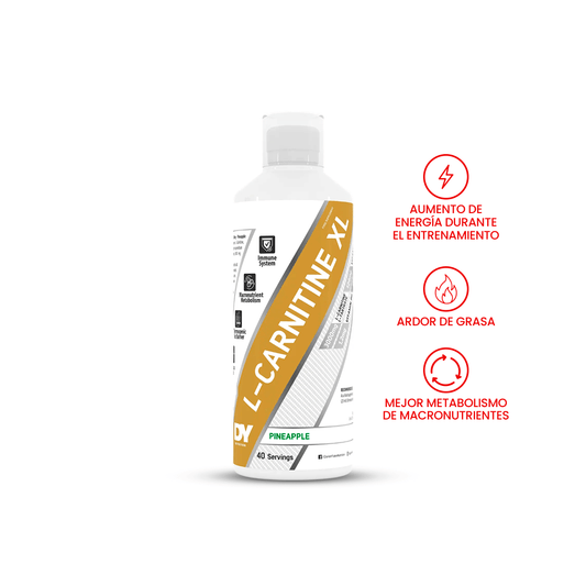 PROMO CYBER: L-CARNITINA DY 1LT (SOUR CHERRY O PIÑA)