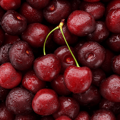 L-Carnitina XL DY Nutrition